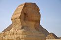 11 giza